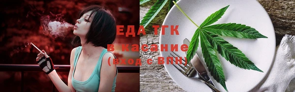 индика Новодвинск