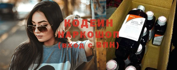 индика Новодвинск