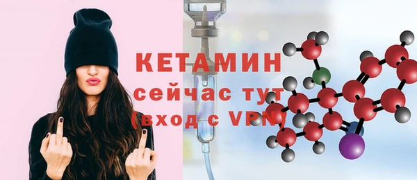 индика Новодвинск