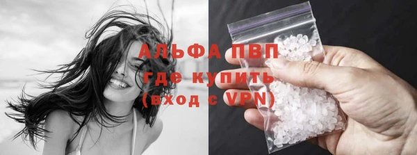 гидра Новозыбков