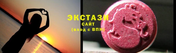 индика Новодвинск