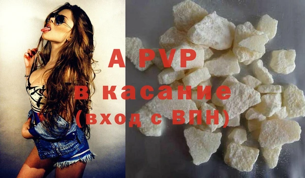гашик Абаза