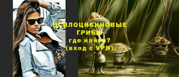 гидра Новозыбков