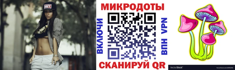 Псилоцибиновые грибы Psilocybe  Сорск 